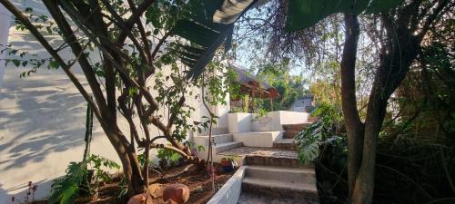 Pretoria House | On the Ridge