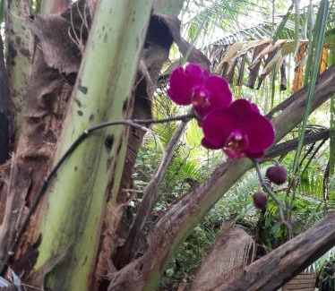 Peruibe House | Onde Encontra o Amor 5 Sorrisos
