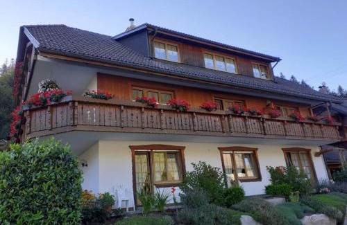 Menzenschwand-Hinterdorf House | One-bedroom apartment