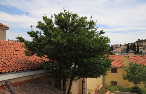 Cove Murtar Apartment | One bedroom apartment with terrace Mali Lošinj, Lošinj (A-2486-a)