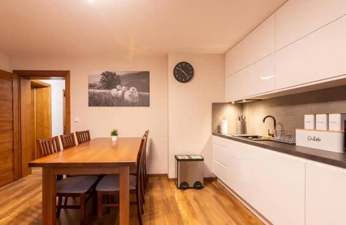 Czorsztyn Apartment | One-Bedroom Apartment