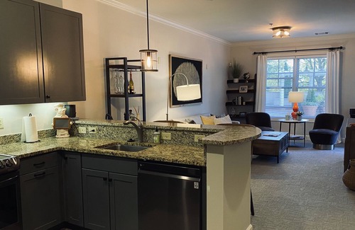 Spartanburg Condo | One Bedroom One Bathroom Condo located in Downtown Spartanburg