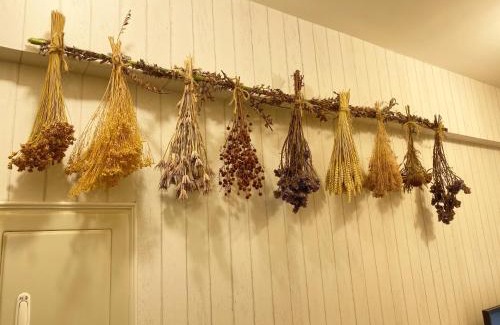 Xitun District Apartment | One Night Inn Fengjia