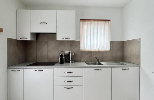 Bregaglia Apartment | One-room flat with mountain view