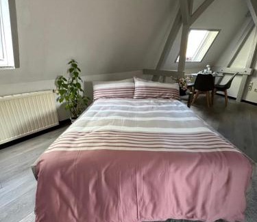 Ortslage Trotha Apartment | Oppiner Straße 14 Trotha4