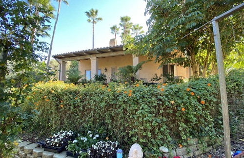 Covenant Cottage | Orange Blossom Guesthouse - in the heart of Rancho Santa Fe, CA.