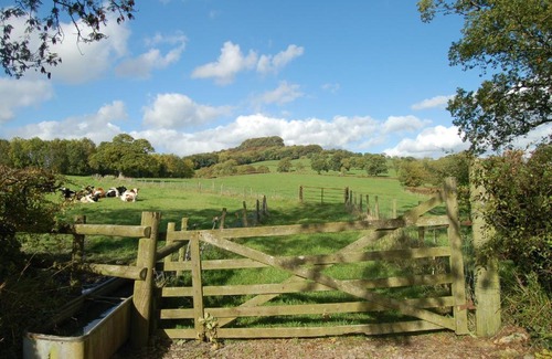 Honiton House | Orchard Barn, Woodhayes