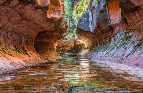 La Verkin Cottage | Orchard Cottage