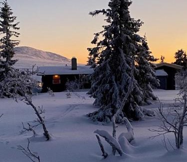 Mælem House | Original Trybo Cabin At Trysil Mountain
