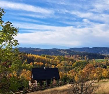 Sierpnica Ski Chalet | Osada Sierpnica - Uroczy dom z kominkiem i balią w Górach Sowich
