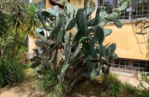 Ostia Antica Apartment | Ostia Antica Country Garden Villetta
