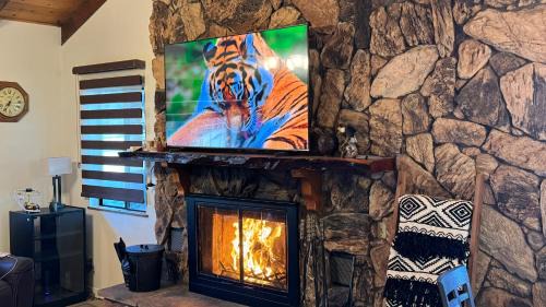 Big Bear Villa | Our cabin offered best vacation