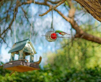 Barrydale House | Over Karoo Inn