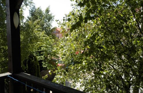 Wladyslawowo Bed & Breakfast | OW Sargus