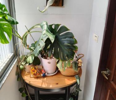 Tainan City Centre House | OYAJI Guesthouse 歐野基民家宿泊