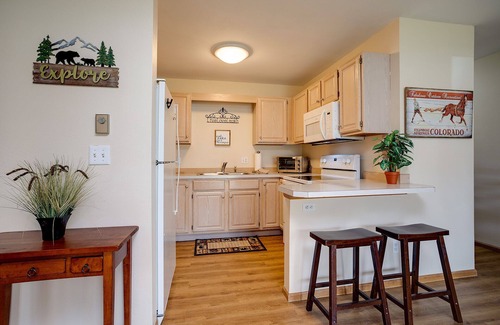Steamboat Springs Condo | P103C | Newly Listed | Nice Furnishings | Free City Bus | Hot Tub
