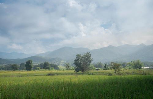 Pai House | Paddy Fields Haven - Natures Nest
