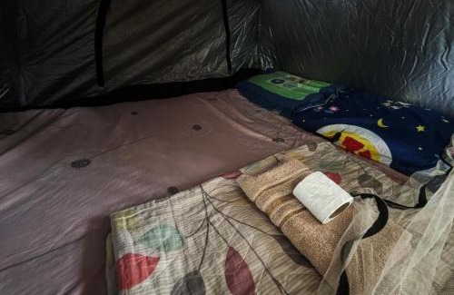 Pai House | Pai Forest Resort