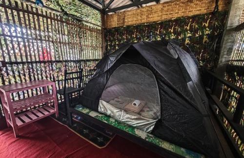 Pai House | Pai Forest Resort