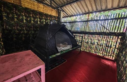 Pai House | Pai Forest Resort