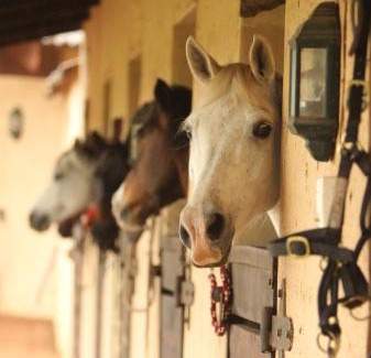 UPhongolo Cabin | Pakamisa Private Game Reserve