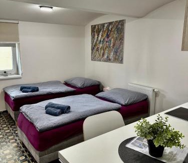 Brno-stred Apartment | Palac Anežka A1