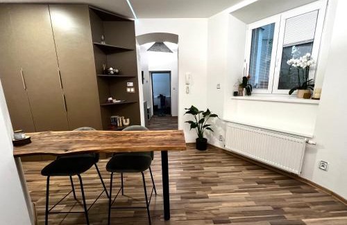 Olomouc Apartment | Palackého Lobby Apartment