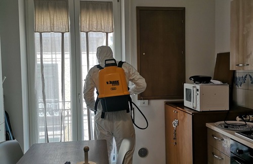 Historical Downtown Salerno Apartment | Palazzo Scaramella B&B "THE SMALL HAPPINESS or" LE PETIT BONHEUR "