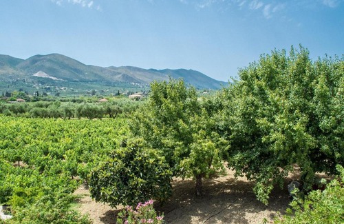 Fiolitis House | Paliorouga Lodge Zakynthos