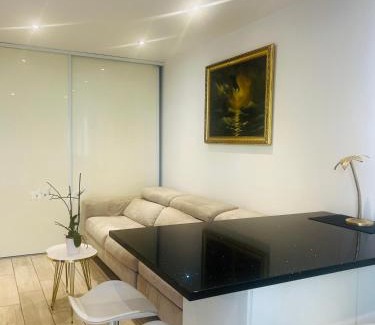 Cannes City Centre Apartment | Palladium Palais des Festivals