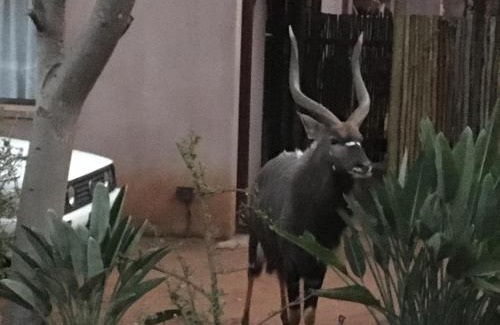 Hoedspruit House | Panache Wildlife Cottage-Self Catering
