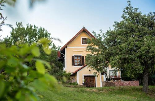 Balatonszepezd House | Panorámás Vincellérház - Balatonszepezd