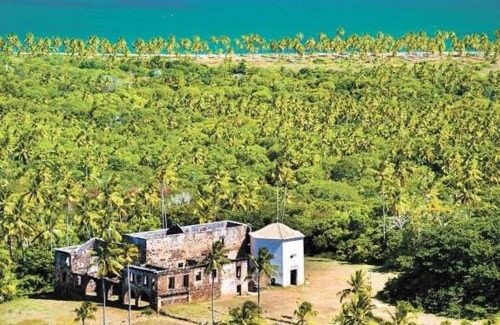 Castelo da Torre Apartment | Paraíso Tropical