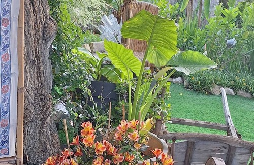 Avignon House | paradis colibri