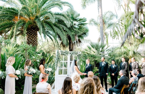 Vista House | Paradise Palms Retreat: Lux Vacay or Wedding! - Welcome to Paradise!