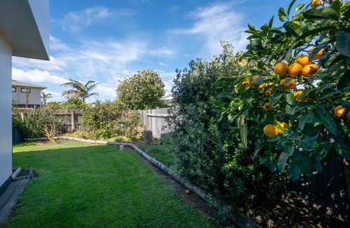 Waimarama House | Paradise Palms - Waimarama Holiday Home