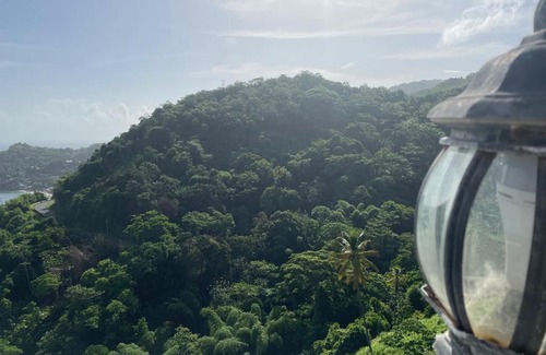 Castara Hotel | Paradise Point Villa