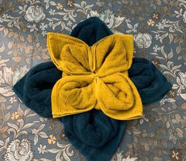 Amerique Apartment | Paris Golden Studio