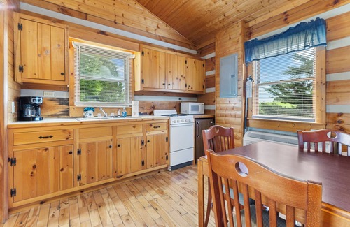 Fancy Gap Cabin | Parkway Lodge with Jacuzzi and Mountain Views! Cabin 11