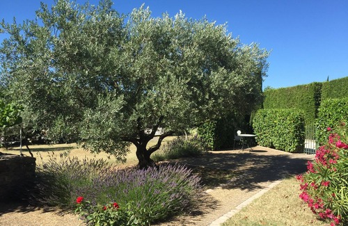Maubec House | Part of Résidence Lou Boulidou, former vineyard, now unique vacation rentals.