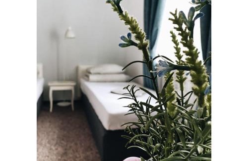 Ochota House | Pastel Guest Rooms