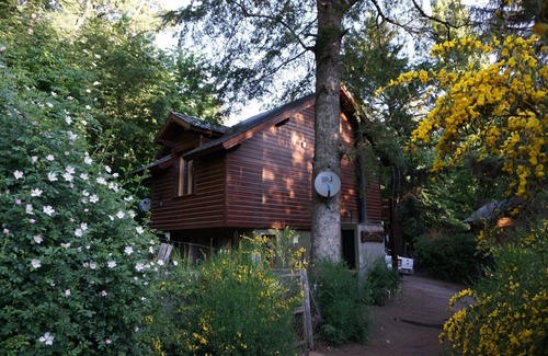 Lanin National Park Cabin | Peaceful and quiet cabin among trees