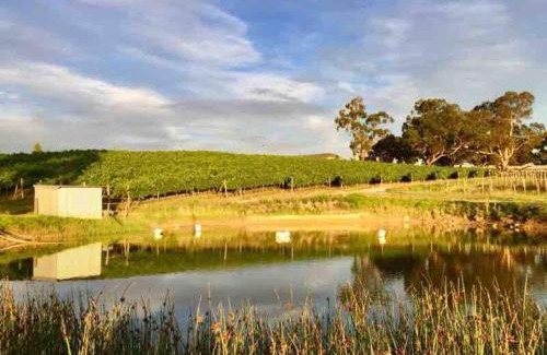 Hahndorf Villa | Peaceful 4-Bedroom Vineyard Retreat in Hahndorf