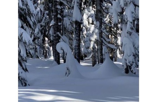 Bend Cabin | Peaceful Cabin convenient 10 min to downtown and easy access to route to skiing