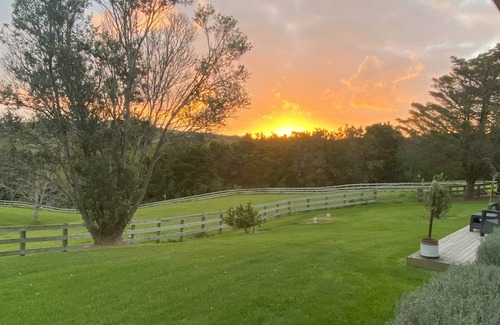 Mangawhai Cottage | Peaceful Cozy Cottage at Lazy Acres. 12 minutes to a wonderful surf beach.