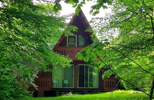 Genesee Cabin | Peaceful Days~Cozy Cabin~Sounds of Silence~Star Gazing~Relax