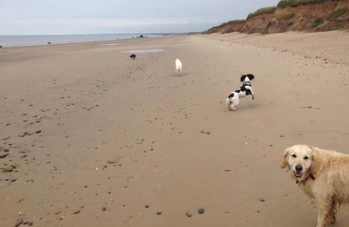 Bridlington House | Peaceful Dog Friendly Cottage near Bridlington