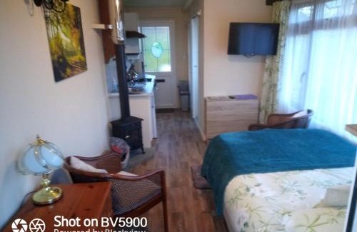 Hadlow Down House | Peaceful ensuite lakeside cabin 'Tench'