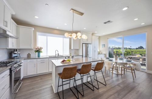 Santa Rosa House | Peaceful Modern Sta Rosa Home w/Vineyard Views!