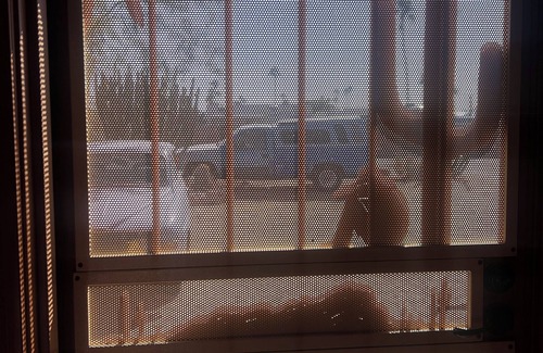 Apache Junction Cottage | Peaceful Private 1-bedroom Casita in Mesa. AC, W&D, Private Parking & more!